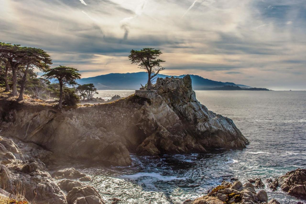 3900 Palm House On Cabrillo Home Pebble Beach Dış mekan fotoğraf