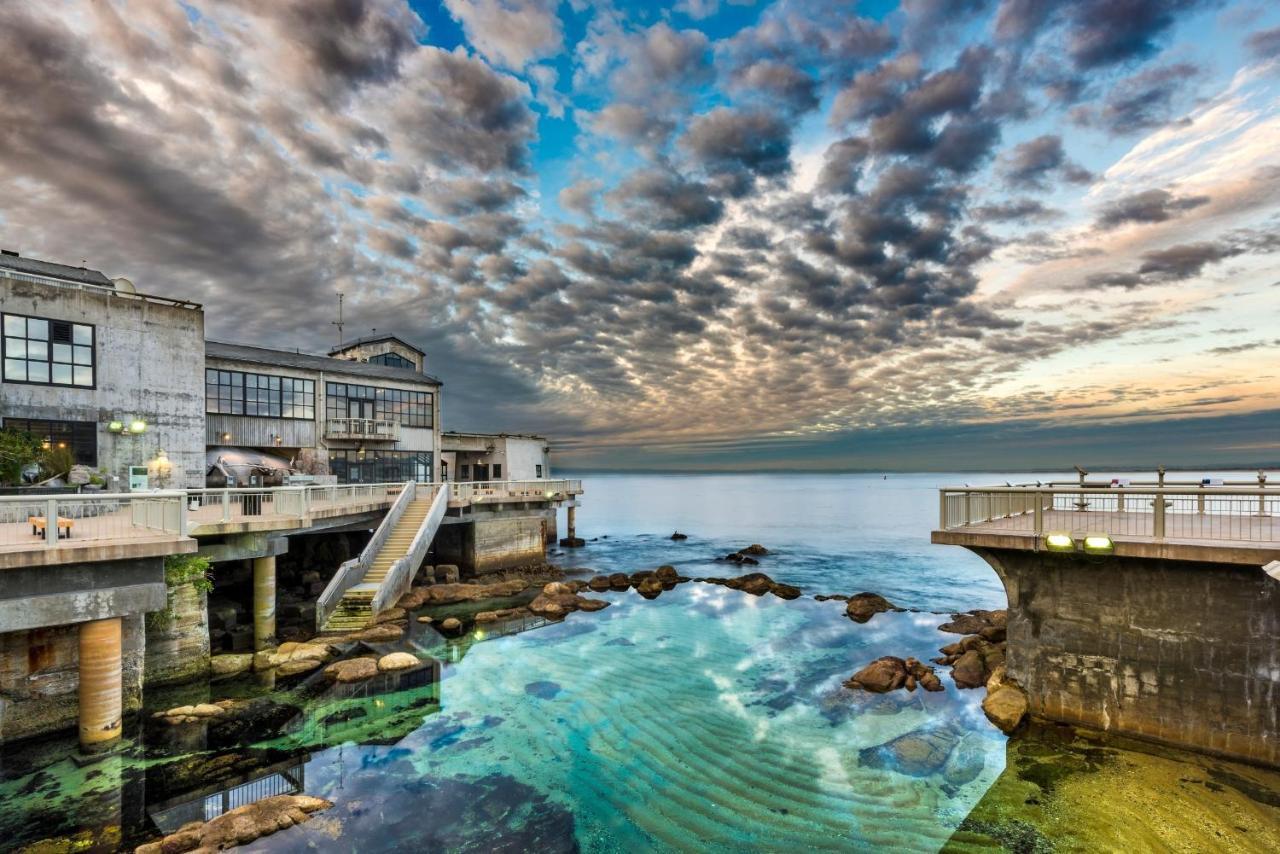 3900 Palm House On Cabrillo Home Pebble Beach Dış mekan fotoğraf